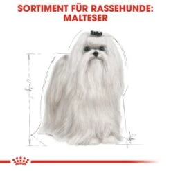 ROYAL CANIN Maltese Adult 1,5 Kg 1,5 Kg -Ruffwear Verkäufe 2024 3eeb7f69af147bc5f04c404f6669c7f0a526e99c 337199db195a0656d970493cf83194fff6f65266