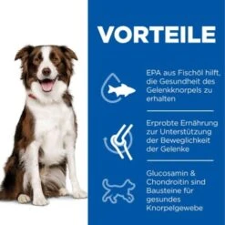 Hill's Science Plan Healthy Mobility Medium Breed Adult 1+ Mit Huhn 14 Kg -Ruffwear Verkäufe 2024 3fcaebf69525b009c44756b18933a850b2f3883d 52742026138 4