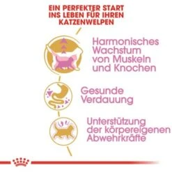 ROYAL CANIN British Shorthair Kitten 2 Kg -Ruffwear Verkäufe 2024 3feab8717345fb55fe890c564cd1933a92234494 8fcb8d730ecfafe8fb567de5d1188cbf674cf65f