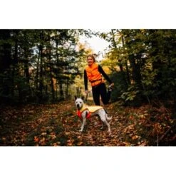 Ruffwear Lumenglow™ High-Vis Hundejacke Orange XL -Ruffwear Verkäufe 2024 40663366cb362acd2f222531a6c489c5dd028940 1378153 de DE 6ea16c8681e07ff1404b1bde8c0b1b4ddb6fa478XOeqLy