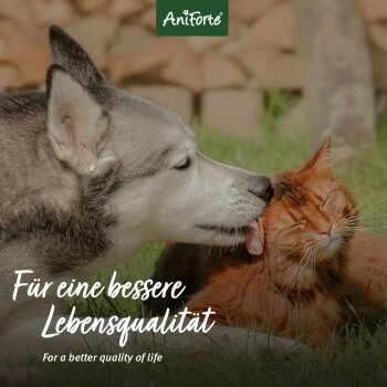 Aniforte Silberwasser Spray 250ml 2 Aniforte Silberwasser Spray 250ml – Bild 2