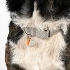 THE DOG IDEA Boho-Chic Halsband Ivy L -Ruffwear Verkäufe 2024 408ee4922683c869ff3d5c80037608142ac784fa 1662813 de DE f1cb924f7e4bbede434464b92844c6ba826fe8efNRNdW0