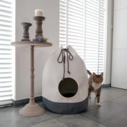 District 70 Höhle Casa Grau 8 District 70 Höhle Casa Grau -Ruffwear Verkäufe 2024 409fcbdb5e0c7796b5459d99aa97a6afb2d1caf3 19e76f233021eca3d6acb0bb3e57e7e6aef3d43f