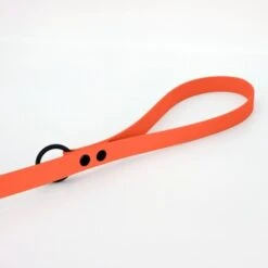 THE DOG IDEA Cityleine Biothane Orange -Ruffwear Verkäufe 2024 40d284353a280f5d7ef0bc71a815efab68022bd9 1492085 de DE d65089b13a714969d0165cad80e9ccf83f8e1409buLwFa