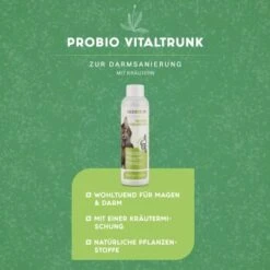 MediCat Probio Vitaldrunk 7 MediCat Probio Vitaldrunk -Ruffwear Verkäufe 2024 42d45295a345c2fadaed3ad4dbfc9c1d6617a169 1480510 de DE de68ab3f3d7e94aecf3ba0a0311c71af4a6dfe1dJH0dlO