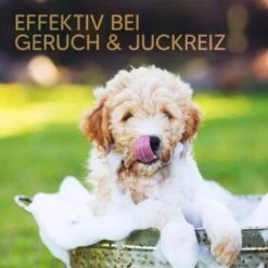 Pawlie's Welpenshampoo 11 Pawlie's Welpenshampoo -Ruffwear Verkäufe 2024 42f9c58257fb2002e5c33c2d81bd829c9adeb1cc 1626204 de DE 8b17d3990cf88ea437c76c60b6848183bc9636a5a44ihJ