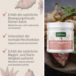 Aniforte 4in1 Complete Cat 60g -Ruffwear Verkäufe 2026 433174568e18224fd341b5ca349c776d85d96ab2 1332844 de DE 0aa93cc915c5d5bb812b052b88179a1f5f51f297zDGJEt