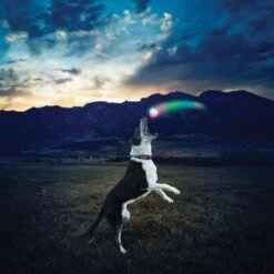 Nite-ize Nite Ize GlowStreak LED Ball 8 Nite-ize Nite Ize GlowStreak LED Ball -Ruffwear Verkäufe 2024 43e2b2f69678f8bd9a4783234d4d2f0f6539de2c aa0d4fe645719d25b1229e63d789e39274accd93