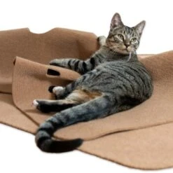 Canadian Cat Company Spielteppich Für Katzen Braun -Ruffwear Verkäufe 2024 446d45749f5e58cb5a7dbc00eb3558dbe40784fe 1394213 de DE 80770b9625226d955903498b97e7018485822aeeDB3L2u