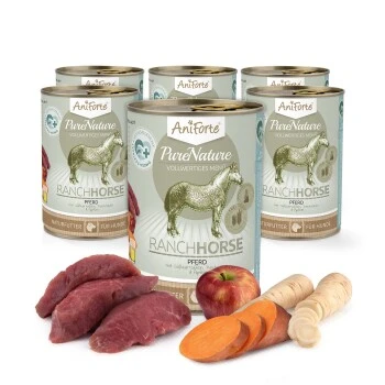 Aniforte RanchHorse Pferd Mit Süßkartoffeln 6 X 400 G 2 Aniforte RanchHorse Pferd Mit Süßkartoffeln 6 X 400 G – Bild 2
