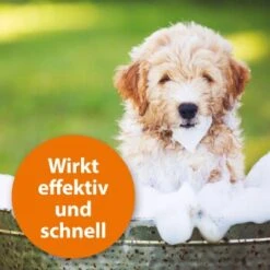 Ardap Anti Zecken Shampoo Für Hunde 250ml 11 Ardap Anti Zecken Shampoo Für Hunde 250ml -Ruffwear Verkäufe 2024 45234aab493187b4f025c9c1611ba91401852a61 1289723 de DE 011c29b51870fd299b578444e9341eb4fefc30b304XMpl