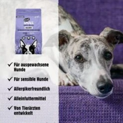 Eat Small - BALANCE (purinarm) 2kg -Ruffwear Verkäufe 2024 45ad3612121a382fc98c2f016e148480e890accd 1397965 de DE 6a39caa418e3cddd9be919b8b1ce9ff1b1b5aa60yLzSjd