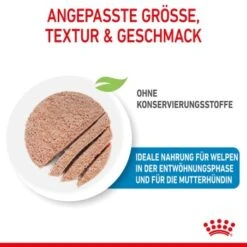 ROYAL CANIN Starter Mousse 12x195g -Ruffwear Verkäufe 2024 460ae1eaaa29330e0bada96cf27a9bde040c20a9 9003579010532 4