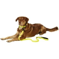 Dogs Creek Leuchtleine Polar Light -Ruffwear Verkäufe 2024 48ec78e33596b92140d6b3398e8f71750d03c13c b92f1359dc8ad4069aab6c61ba7cbbf439b4b6f2