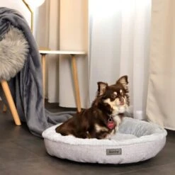 Lionto Rundes Hundebett Grau S -Ruffwear Verkäufe 2024 495319c5e5d302912b44d9c5eec4bf5d9f8545a8 1657076 de DE aa318acd7ce25545f999031d1739d15f3d8316c0wpiYjz