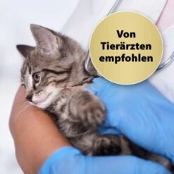 Felisept Home Comfort Beruhigungshalsband Für Katzen -Ruffwear Verkäufe 2024 49f63f3eec6617dbc795d98ab15477ddca010d3a 1238279 de DE Felisept 2