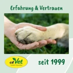 CdVet EnergyUp 450g -Ruffwear Verkäufe 2024 4a176b03b4ab590e354de99dc1cb9c967e9a4b12 1667440 de DE d650bdda4d7bf1b92f4f6fc1b781381a15c0d65dhz1m5X