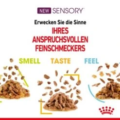 ROYAL CANIN SENSORY Smell In Gelee Für Wählerische Katzen 12x85g -Ruffwear Verkäufe 2024 4a632532d23d065e189b82401db5c561b6749e74 bbe7e159ee2cfcc0155771b211da953377ec5c40