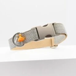 THE DOG IDEA Boho-Chic Halsband Ivy L -Ruffwear Verkäufe 2024 4a7fbe6efcf5a135994e6b3f8a081c8b07035e18 1662813 de DE 462d9eefbf14516ea8411edebdf752313466d1e07q2YRL