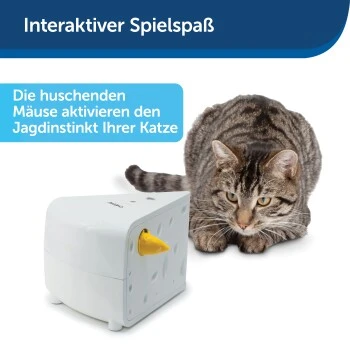 PetSafe Automatisches Katzenspielzeug Cheese 6 PetSafe Automatisches Katzenspielzeug Cheese – Bild 6