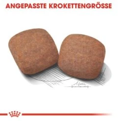 ROYAL CANIN Giant Adult 15 Kg -Ruffwear Verkäufe 2026 4c478da0f3ca9a9bc8202b37d8335a9549df794f 3ed1e2718483704e470cb89d919125128aaf9407