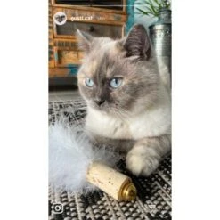 Kater Kasimir Deluxe Set Mit 9 Beliebten Katzenspielzeugen Aus Naturmaterial Und Handgemachtem CATDAD Armband -Ruffwear Verkäufe 2024 4d777484de5457a02028f595b53fdb1b69e309d7 1408151 de DE 911e17a5e45692f3789ac8bc9aee946048898d74SkrQo3