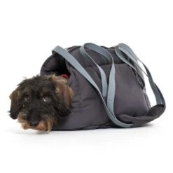 Doctor Bark Hundetragetasche Grau M -Ruffwear Verkäufe 2024 4df063d7c2c9a22196fd9ebb1eb55787f817274e 27ad9b1dce7458814f7b1bd3a4ba98f82695a10e