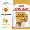 ROYAL CANIN Cavalier King Charles Adult 7,5 Kg