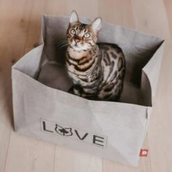 Canadian Cat Company Katzenbett Winnipeg -Ruffwear Verkäufe 2024 4f163c23f3c00759be25633fb22100eb50b10eed 1360995 de DE e27163ea0c21fd571c9e22268b69a4d1b68affe5UBt2yy