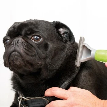 Moser Unterwollkamm 2 Moser Unterwollkamm – Bild 2