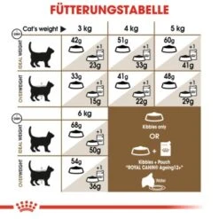 ROYAL CANIN Ageing 12+ 2 Kg -Ruffwear Verkäufe 2024 50b3c838d5d21d1b917bd2a34ef54691565d1bd7 bd4918ff5f6d0c4d1cc754a091c66c5be6459815