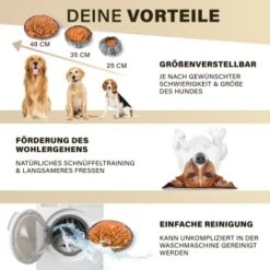 URBAN PAUL Schnüffelteppich - Grau -Ruffwear Verkäufe 2026 52a57a465e43989eb626f909380e9a43fc6d422f 1477265 de DE 2e0326d2412135da4b4dbf18500c90d40ebe94e0B4HI12