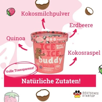 BeG Buddy Starter-Kit Hundeeis, Eis, Erdbeere 2 BeG Buddy Starter-Kit Hundeeis, Eis, Erdbeere – Bild 2