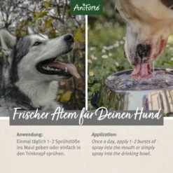 Aniforte Dentalspray Zahnpflege Spray 100ml -Ruffwear Verkäufe 2026 5407327dc1ff8b3c62918c78a261300c797ac1a5 1439278 de DE d65d8e1ebeada7690aae8d6a4c6fc70cb3dbb3e9igaN3s