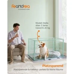 FEANDREA Welpenauslauf 4-teilig Schwarz Mintgrün -Ruffwear Verkäufe 2024 54b6eaf096eddc682db9f38a2def8fc58cc177d1 1500915 de DE 3fae71867cdf384168e56ae007ba5cefcf26b66eKCULuj