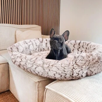 Wallace & Jones Hundebett Cordo-Heaven S 2 Wallace & Jones Hundebett Cordo-Heaven S – Bild 2