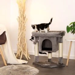 Lionto Kratzbaum 60 Cm Dunkelgrau -Ruffwear Verkäufe 2024 54d2a2b2f0f85b4c59d70d90b3af4b4a58719f22 1657014 de DE 61b72444bd03e0597d0ec1256f587f38f03d3f6dXYdqkl