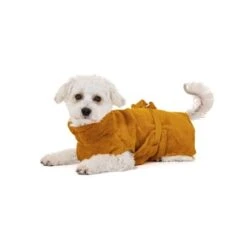Lills Hundebademantel "Amber" 35 Cm -Ruffwear Verkäufe 2026 5625677df06441555b53f1ee38edf7197d871a03 1349623 de DE 5049436724072e24d828c696bcb231e44447b203tY6OXs