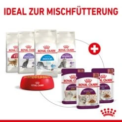 ROYAL CANIN SENSORY Taste In Gelee Für Wählerische Katzen 12x85g -Ruffwear Verkäufe 2024 568b3c97dc75b630cb8553b47c690f1b60ec1147 2eb8c2e403a7d9180bf5ffc8ee25035aa1ddb615