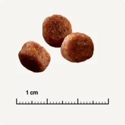 SELECT GOLD Sensitive Digestion Adult Geflügel Und Reis 2,5 Kg 10 SELECT GOLD Sensitive Digestion Adult Geflügel Und Reis 2,5 Kg -Ruffwear Verkäufe 2024 571cc49e96eaa29d93cdb9496136ed90f38f0ce7 1243347 de DE 6