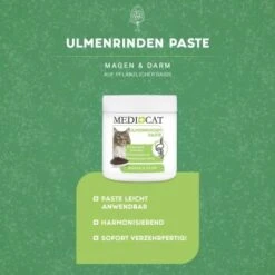 MediCat Ulmenrinde Paste -Ruffwear Verkäufe 2024 5746d89f9c915fe64711682faa5438fbbc7b8d3d 1480521 de DE 9be94bd61a2a401fed2c699444b76603a9bb52b7qw81za