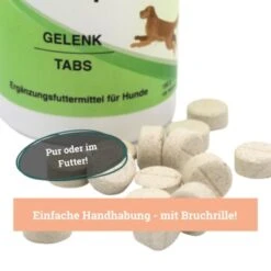 BeG Buddy Gelenk Fit Tabletten 11 BeG Buddy Gelenk Fit Tabletten -Ruffwear Verkäufe 2024 57fa0b113007a783fdbd31fde549b7570793fc41 1457251 de DE 35ee4c225df69fb406b17547eb23b3c50a4266b1OZtExy