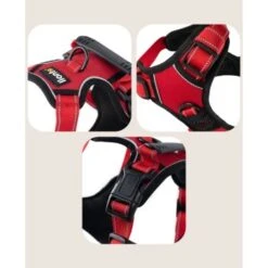 Lionto Hundegeschirr Rot S -Ruffwear Verkäufe 2024 5a9c2faebeb4747b2afd82d7d5d5323e17e8bf1f 1505063 de DE 0cfb49c83d4fbb2e533c75bc4900c295939b50fcQFbqJQ