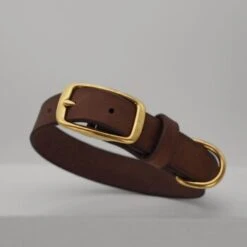 THE DOG IDEA Leder Halsband Braun M -Ruffwear Verkäufe 2024 5bac949feea5d5f59c7e6751952069a5862426be 1674220 de DE 8b6455ef1d4dab4e1be6bed35e5373bf84958058k1WBYW