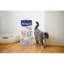 Biokat's Classic 3in1 Extra 14 L -Ruffwear Verkäufe 2024 5d52880c5f6cb6a968c367a4df6d22f3606a92d3 1422137 4