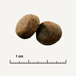 SELECT GOLD Sensitive Adult Maxi Lamm & Reis 4 Kg -Ruffwear Verkäufe 2024 5ecaef2283d09cae98f0e7d2e361f17e4011fde6 1081889007 de DE 6