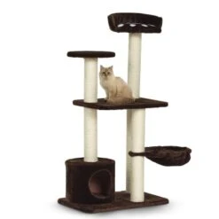 Silvio Design Kratzbaum Molly -Ruffwear Verkäufe 2024 605cb6718cffe169f7a2cc35d6eeab7bd09ee96b 8eb10806c380c9957ce19d0fdef05ba9a0161050