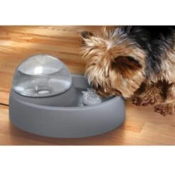 Numaxes Eyenimal Trinkbrunnen 1,5l 6 Numaxes Eyenimal Trinkbrunnen 1,5l -Ruffwear Verkäufe 2024 612512ae3e55fd25731acfc2a0abcdc5bfeba8fb b7754bc2b320ccef10b70045a810474d6996a8cb