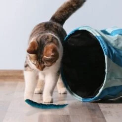 Kater Kasimir 3 Handgerollte Filzwürmchen Aus Schurwolle + 1 Mini-Flasche Katzenminze-Spray -Ruffwear Verkäufe 2024 628f7d1d4ec1f70990cd24d861db16d7b447278c 1409266 de DE e1034005335ef5de37662c8ab367f77b33e0f5830ItxtL