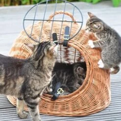 Aumüller Rattanhöhle Gesottene Weide -Ruffwear Verkäufe 2024 644da56b8da52f185185b101fb3460690748ee17 ed38553d0e52453b951e62f08b371eb8a64cf3ed